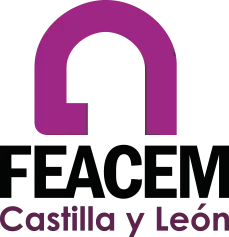 Logo Feacem